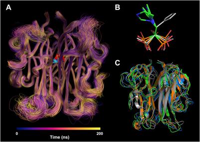 Structural insights into the binding of zoledronic acid with RANKL via computational simulations